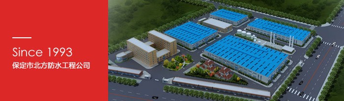 14326120489672682C4D.jpg company1.jpg